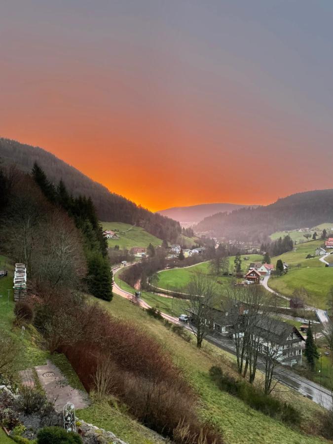 Ferienwohnung Altes Berghaus Obertal  Exterior foto
