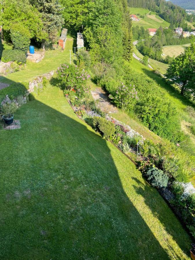 Ferienwohnung Altes Berghaus Obertal  Exterior foto