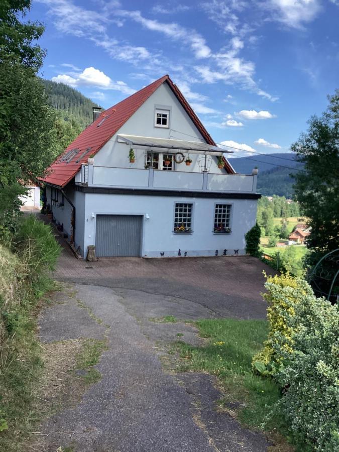 Ferienwohnung Altes Berghaus Obertal  Exterior foto