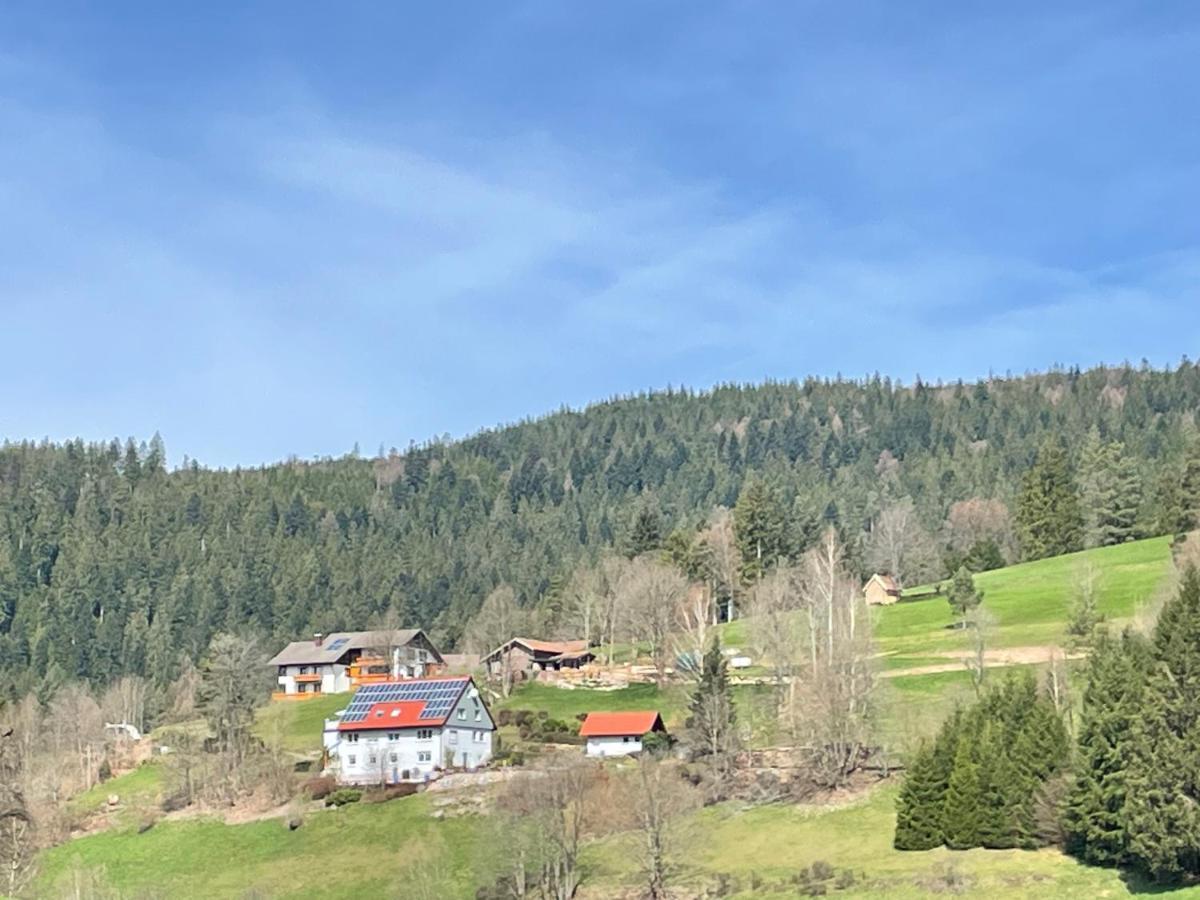 Ferienwohnung Altes Berghaus Obertal  Exterior foto