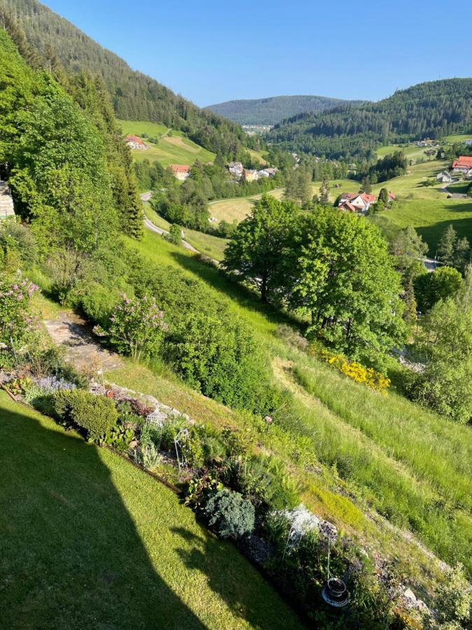 Ferienwohnung Altes Berghaus Obertal  Exterior foto