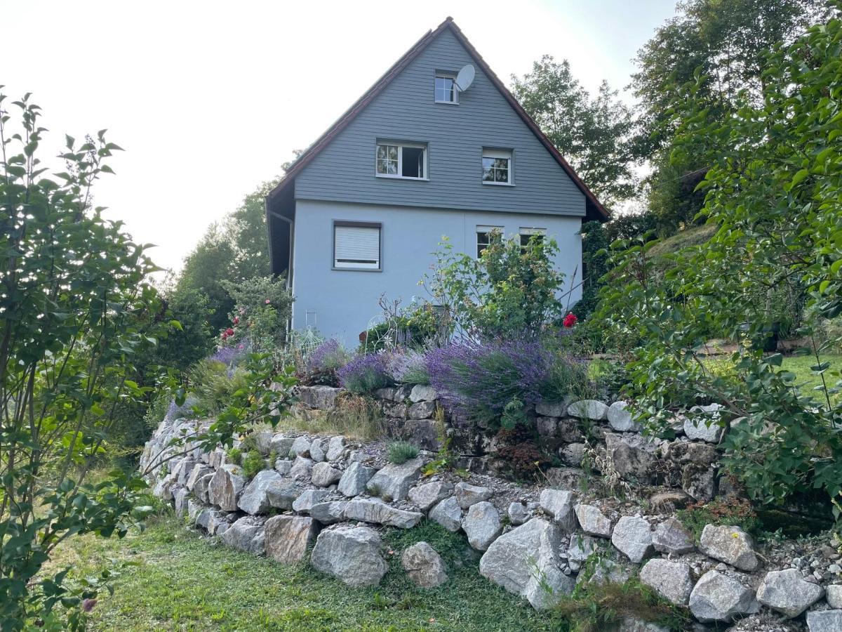 Ferienwohnung Altes Berghaus Obertal  Exterior foto