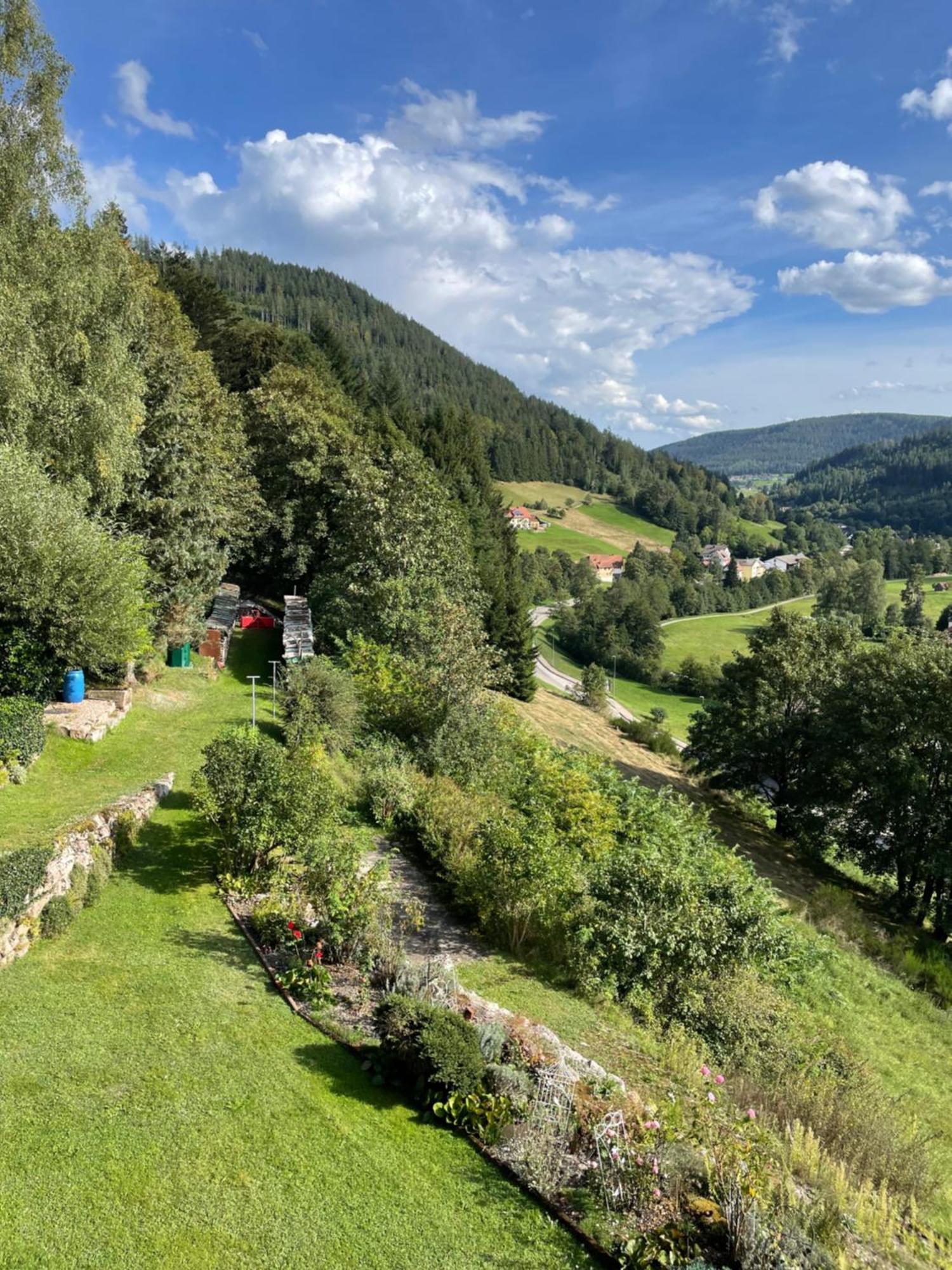 Ferienwohnung Altes Berghaus Obertal  Exterior foto