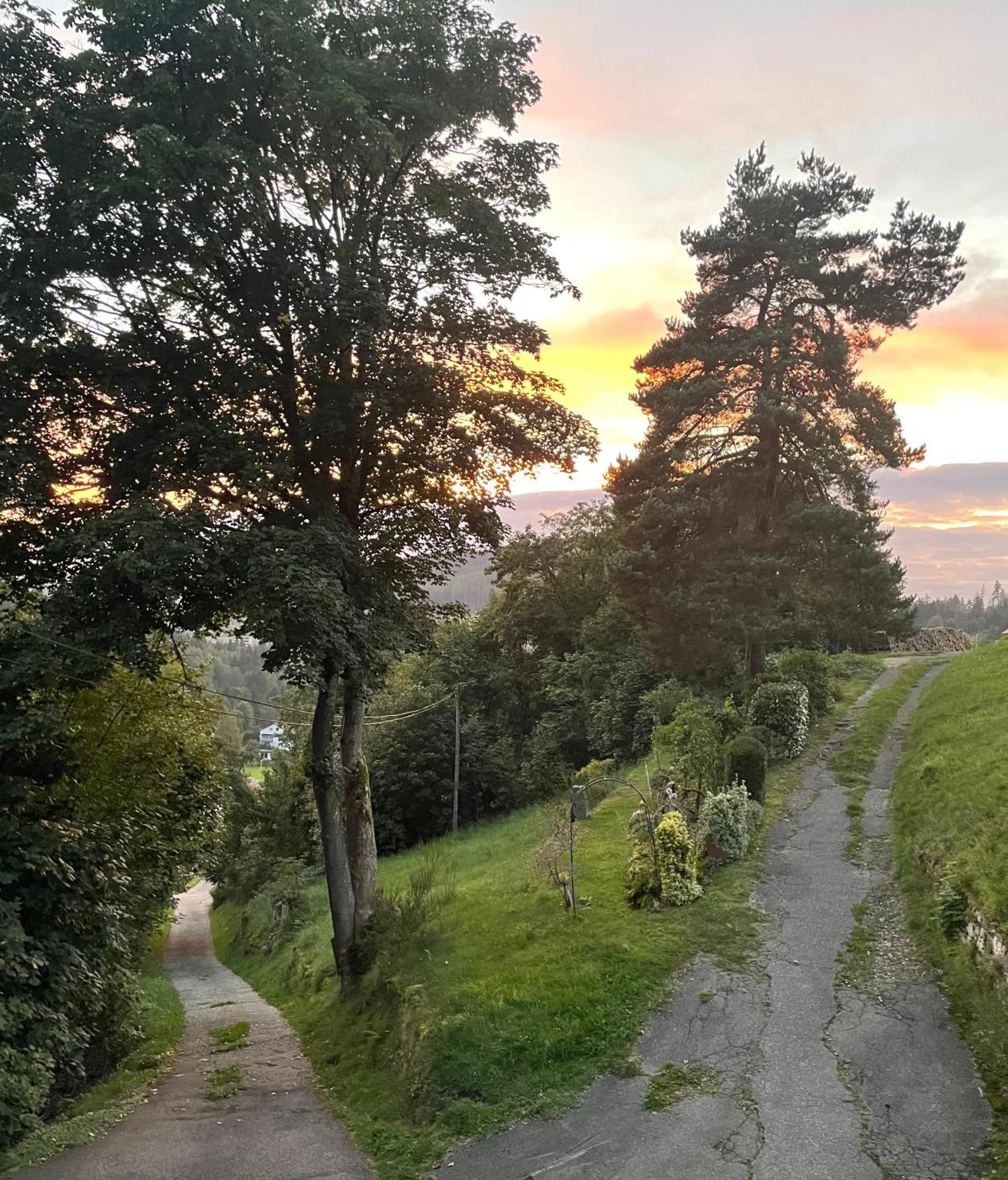 Ferienwohnung Altes Berghaus Obertal  Exterior foto