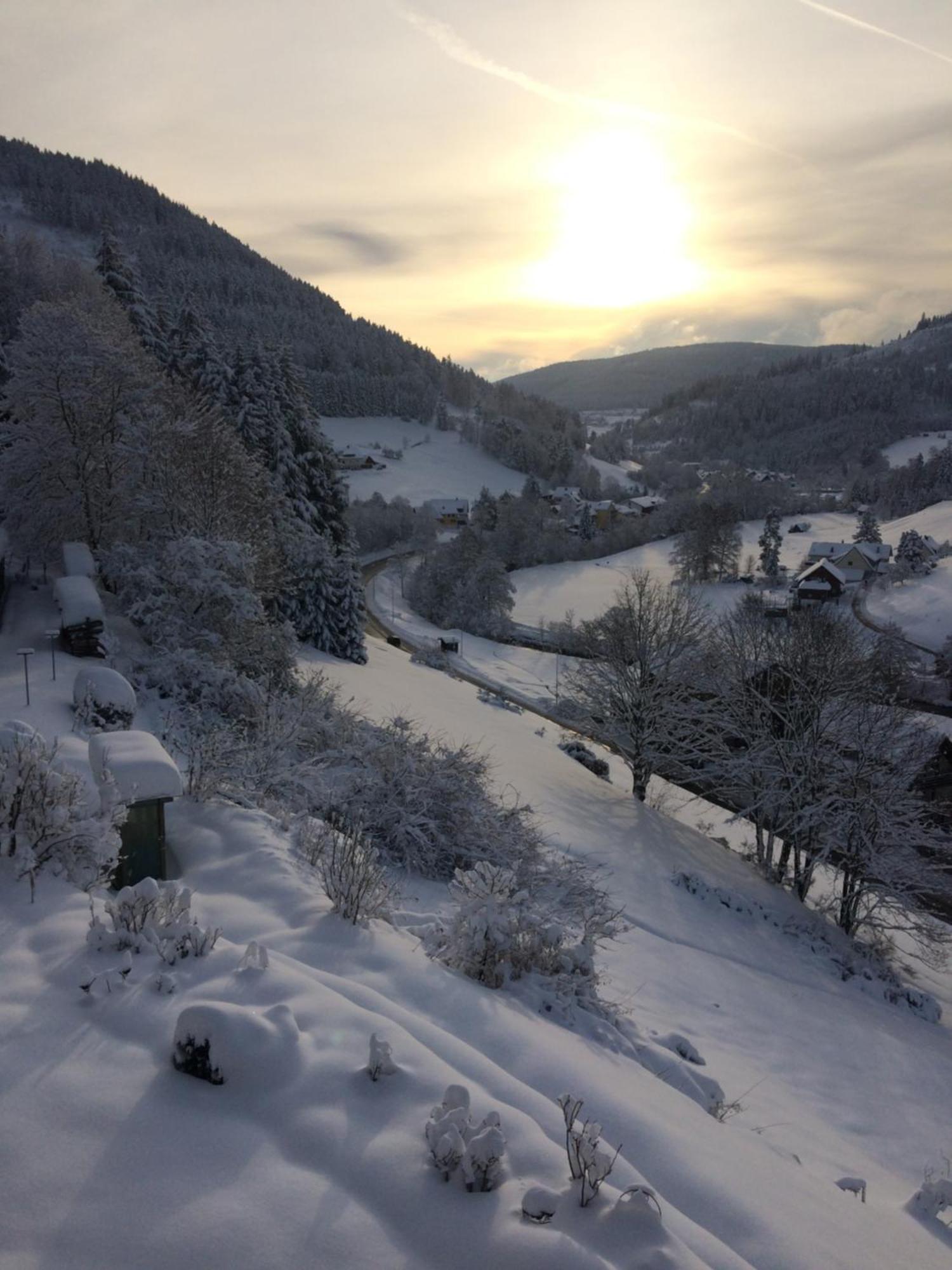 Ferienwohnung Altes Berghaus Obertal  Exterior foto